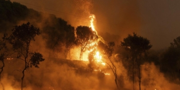 greece-wildfires-ap-2098286