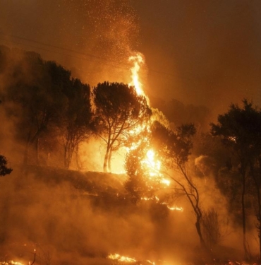 greece-wildfires-ap-2098286