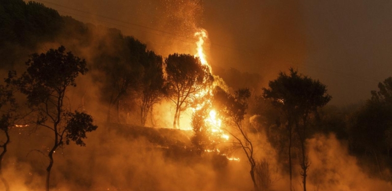 greece-wildfires-ap-2098286