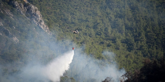Eskişehir’de orman yangını faciası: 10 kişi hayatını kaybetti