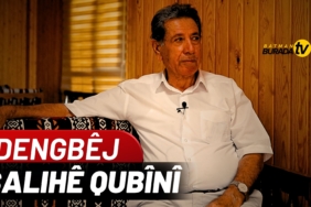 HAYATINI DENGBÊJLİĞE VEREN BİR İSİM: SALIHÊ QUBÎNÎ (KÜRTÇE) youtubekapak (42)