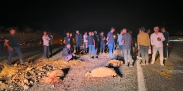 10c79bc1-b796-4766-aaa4-378220e0a6ee