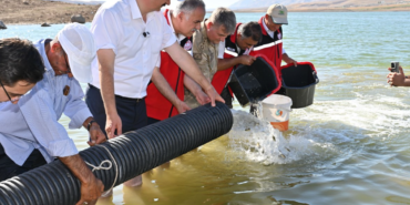 Ekran görüntüsü 2024-09-13 131120