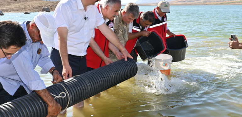 Ekran görüntüsü 2024-09-13 131120