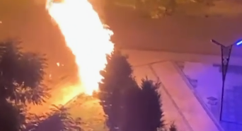 Ekran görüntüsü 2024-09-13 140839