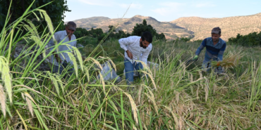 Ekran görüntüsü 2024-09-16 140807
