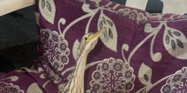 WhatsApp Image 2024-09-11 at 11.31.20