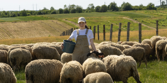 Bakanlıklar devrede: 150 bin çoban aranıyor