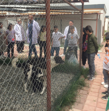Batman Belediyesi’nden Sokak Hayvanlarına Yönelik Örnek Çalışma (1)