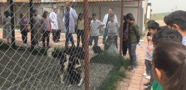 Batman Belediyesi’nden Sokak Hayvanlarına Yönelik Örnek Çalışma (1)