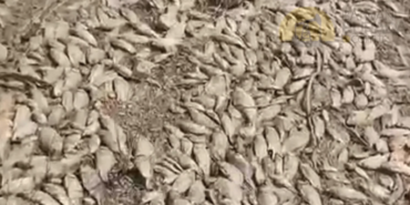 Ekran görüntüsü 2024-10-12 133158