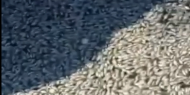 Ekran görüntüsü 2024-10-14 132948