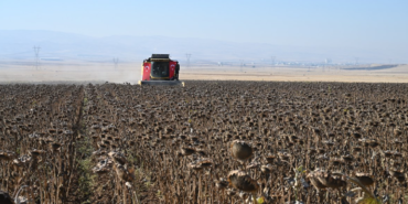 Ekran görüntüsü 2024-10-28 132253