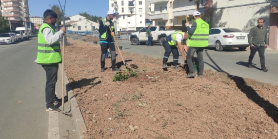 Park ve bahçelerde ağaçlandırma ve çimlendirme