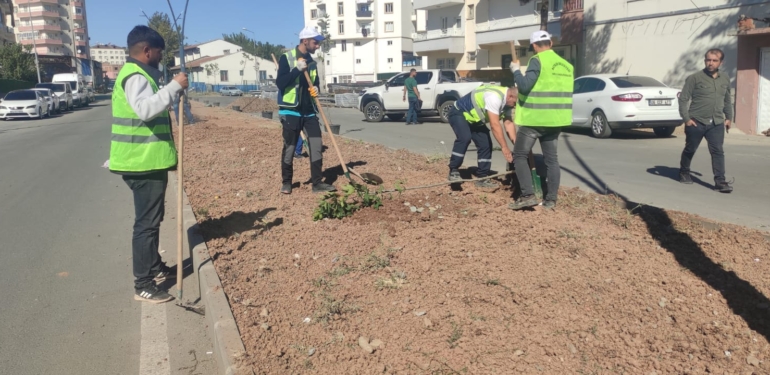 Park ve Bahçelerde Ağaçlandırma ve Çimlendirme (2)