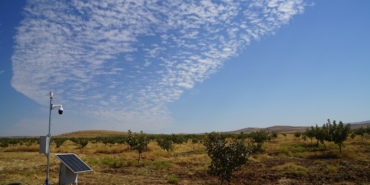 WhatsApp Image 2024-10-01 at 08.57.17