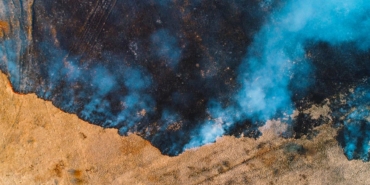 WhatsApp Image 2024-10-08 at 14.55.12