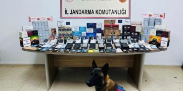 WhatsApp Image 2024-10-17 at 14.17.10