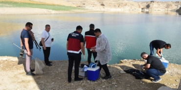 WhatsApp Image 2024-10-18 at 09.50.05 (2)