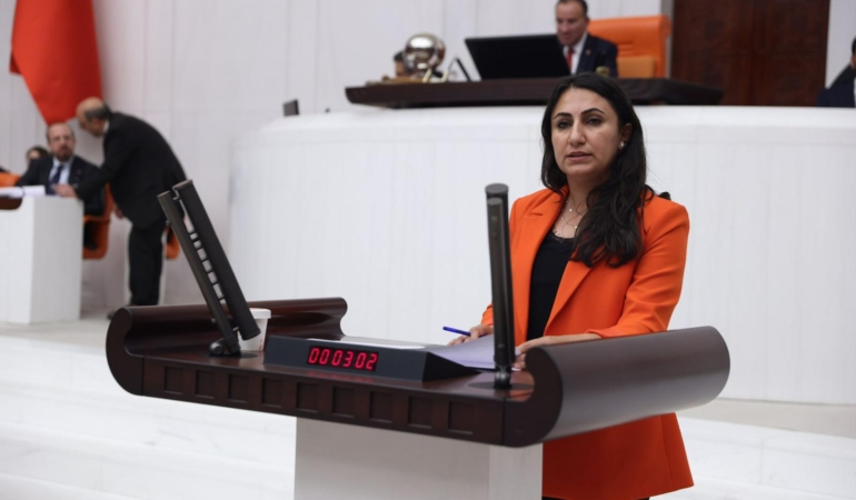 Zeynep Oduncu Kutevi (3)