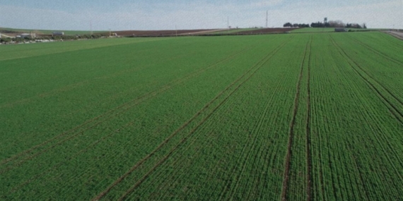 Tarlası Olanlar Dikkat! 2025’te Bakanlık Harekete Geçiyor!