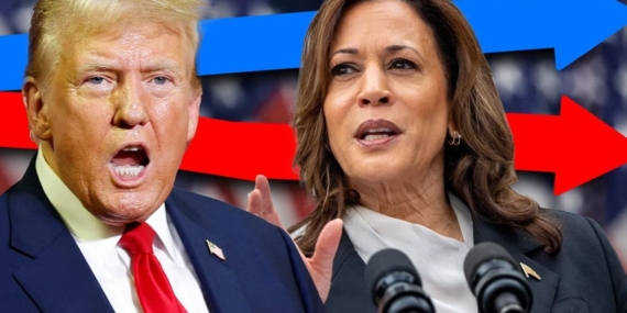 ABD’de kritik seçim… Son anketler ne diyor: Trump mı? Haris mi? ABD’de kritik seçim… Son anketler ne diyor: Trump mı? Haris mi?