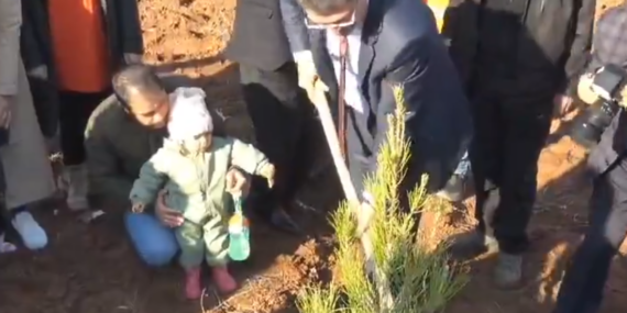 İnşaatı süren hastane yerleşkesine ilk fidanlar dikildi