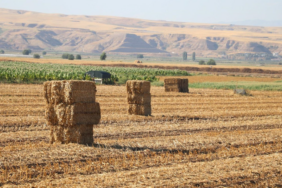 Ekran görüntüsü 2024-12-09 103146