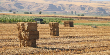 Ekran görüntüsü 2024-12-09 103146