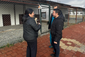 Ekran görüntüsü 2024-12-17 151046