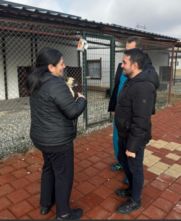 Ekran görüntüsü 2024-12-17 151046