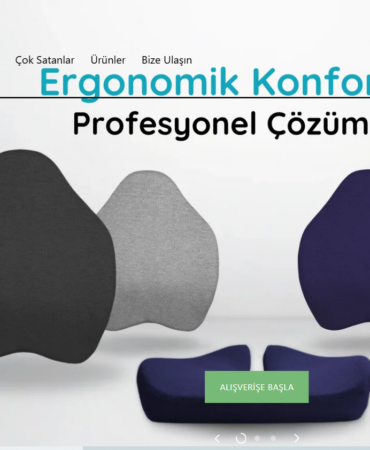 Ekran görüntüsü 2024-12-23 124743