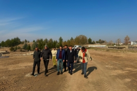 WhatsApp Image 2024-12-08 at 19.40.54