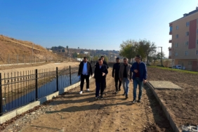 WhatsApp Image 2024-12-10 at 11.36.36