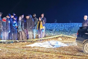 WhatsApp Image 2024-12-12 at 01.29.27