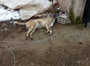 WhatsApp Image 2024-12-17 at 12.53.48