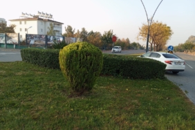 WhatsApp Image 2024-12-18 at 13.34.57