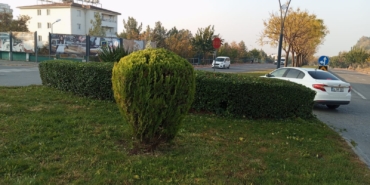 WhatsApp Image 2024-12-18 at 13.34.57