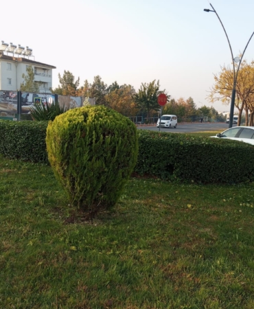 WhatsApp Image 2024-12-18 at 13.34.57