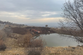 WhatsApp Image 2024-12-21 at 11.51.30 (1)