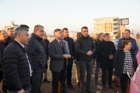 WhatsApp Image 2024-12-26 at 08.20.12 (1)