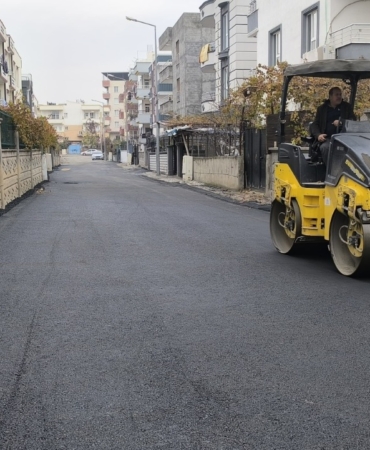 WhatsApp Image 2024-12-30 at 17.01.26 (2)