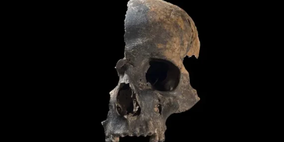 Bronz Çağı insanları arasında esrarengiz şiddet: Bir grubun onlarca insanı öldürüp yediği keşfedildi Bronz Çağı insanları arasında esrarengiz şiddet: Bir grubun onlarca insanı öldürüp yediği keşfedildi