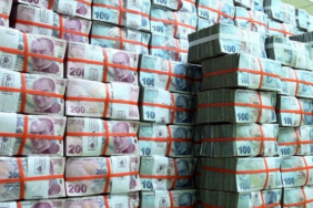 parabalya-V68w_cover