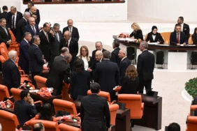 Bahçeli dem partililer