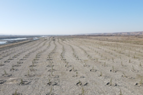 Ekran görüntüsü 2025-01-06 161323