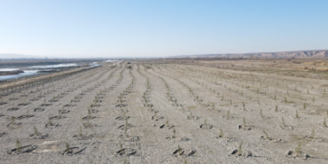 Ekran görüntüsü 2025-01-06 161323