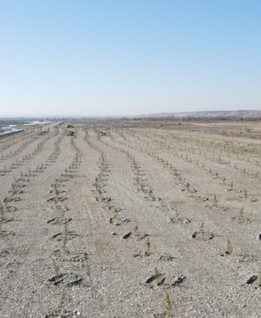 Ekran görüntüsü 2025-01-06 161323