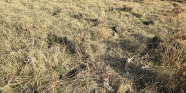 Ekran görüntüsü 2025-01-09 122236