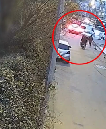 Ekran görüntüsü 2025-01-23 112418